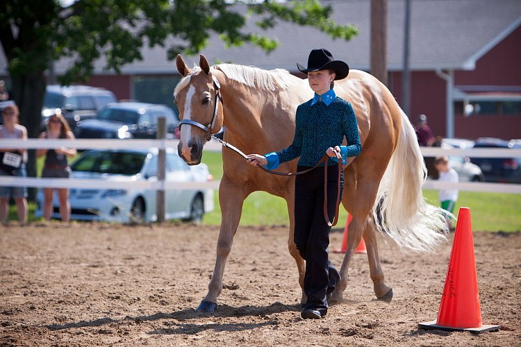 4H-Fun-Show-060912-149.JPG