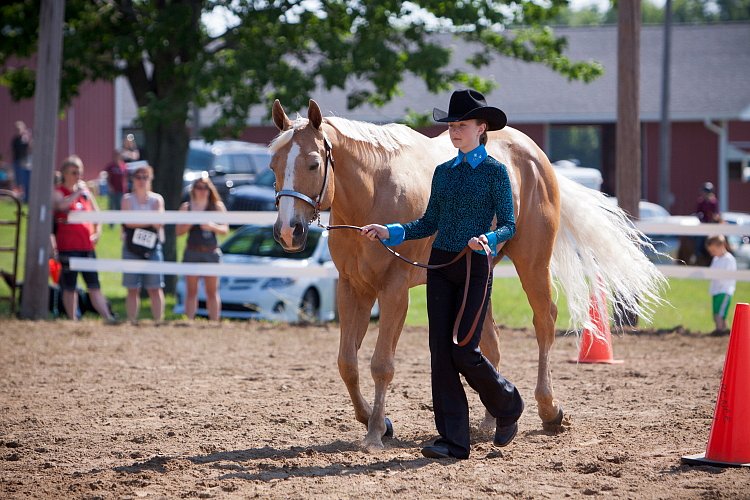 4H-Fun-Show-060912-150.JPG