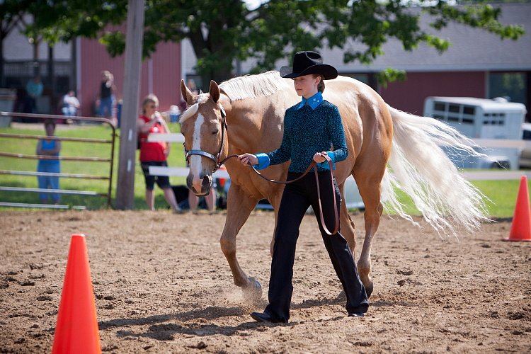 4H-Fun-Show-060912-151.JPG