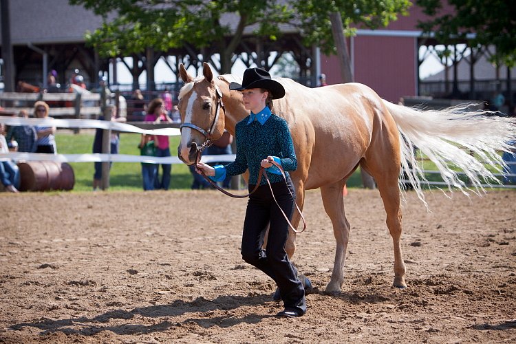 4H-Fun-Show-060912-152.JPG