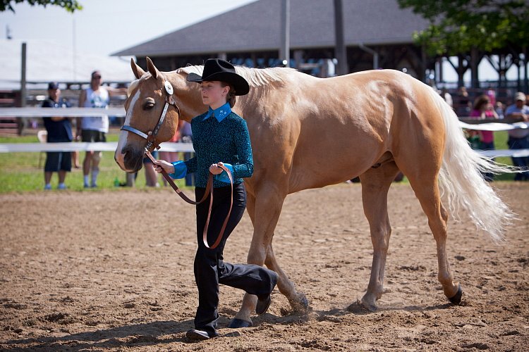 4H-Fun-Show-060912-153.JPG