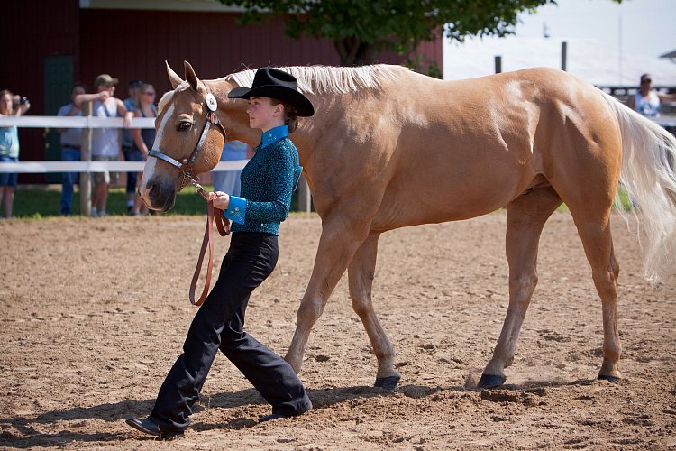 4H-Fun-Show-060912-154.JPG