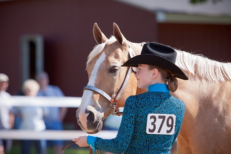 4H-Fun-Show-060912-155.JPG