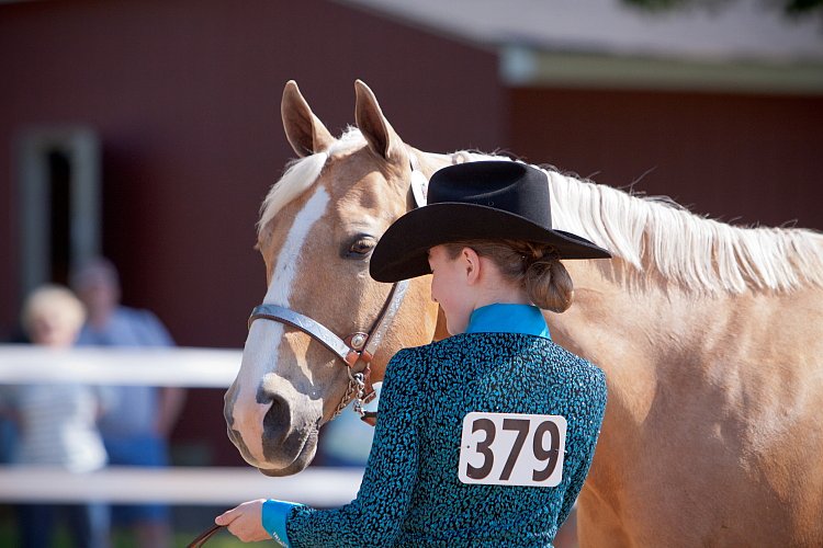 4H-Fun-Show-060912-156.JPG