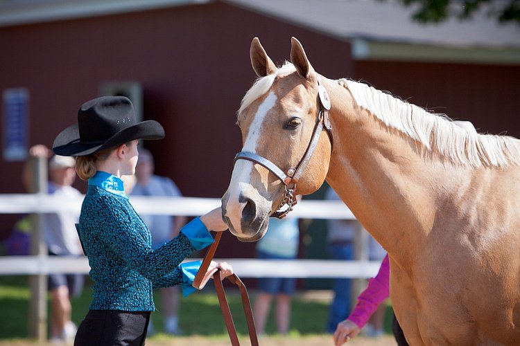 4H-Fun-Show-060912-157.JPG