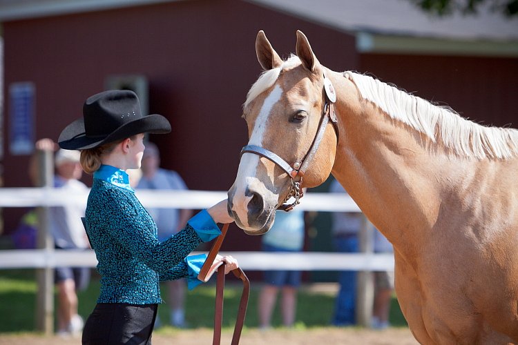 4H-Fun-Show-060912-158.JPG