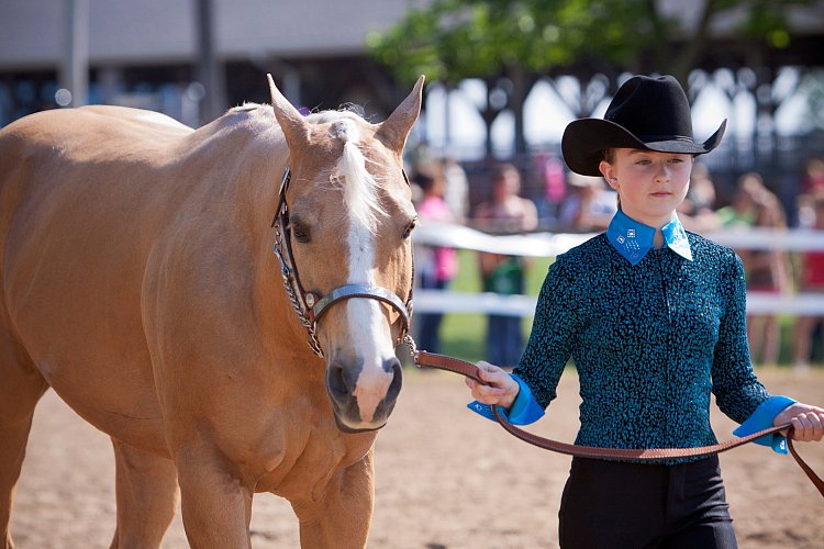 4H-Fun-Show-060912-159.JPG