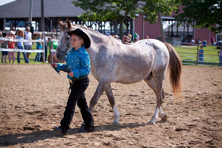 4H-Fun-Show-060912-162.JPG