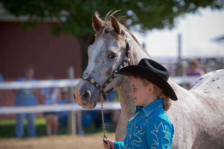 4H-Fun-Show-060912-165.JPG