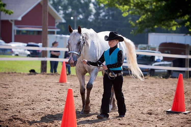 4H-Fun-Show-060912-166.JPG