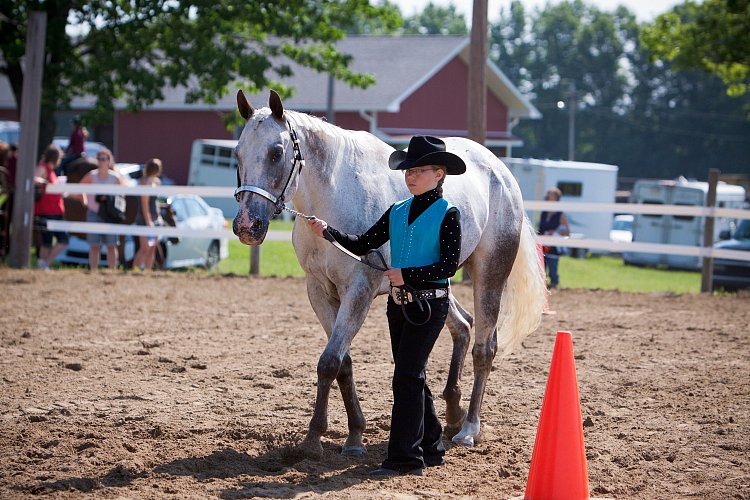 4H-Fun-Show-060912-167.JPG