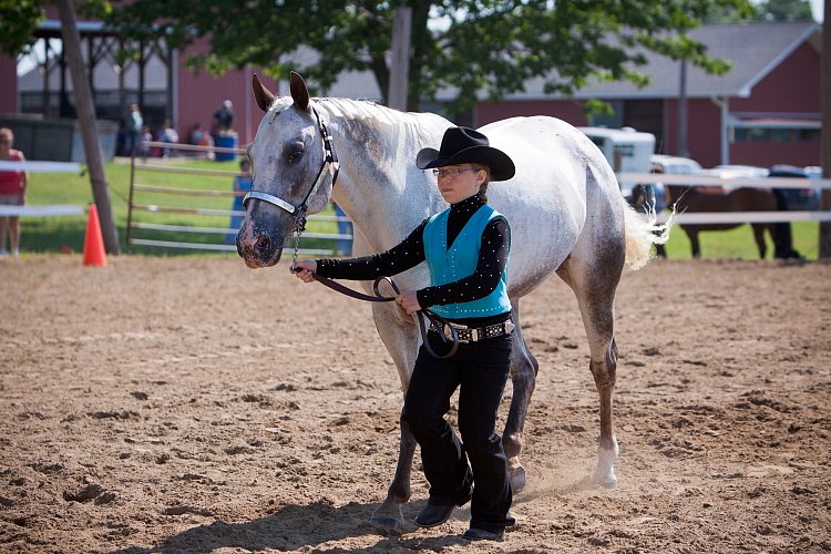 4H-Fun-Show-060912-168.JPG