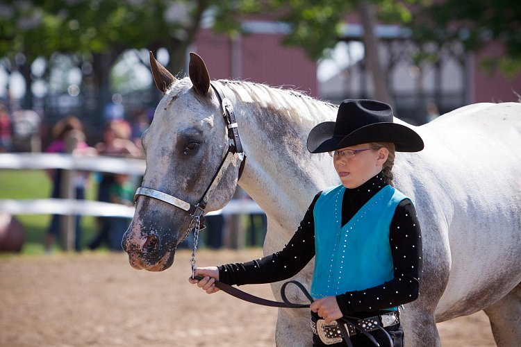 4H-Fun-Show-060912-169.JPG