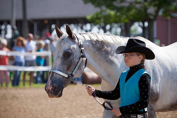 4H-Fun-Show-060912-170.JPG