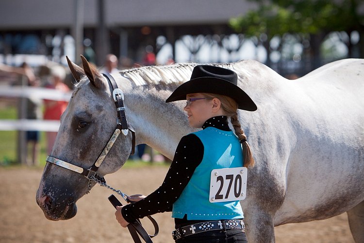 4H-Fun-Show-060912-172.JPG