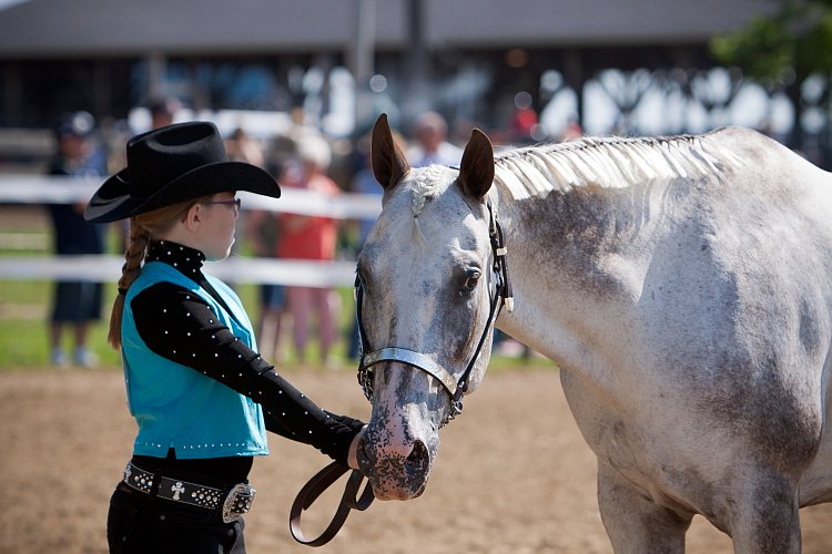 4H-Fun-Show-060912-173.JPG