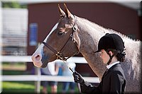 4H-Fun-Show-060912-124.JPG