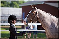 4H-Fun-Show-060912-125.JPG