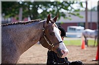 4H-Fun-Show-060912-127.JPG