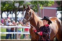 4H-Fun-Show-060912-132.JPG