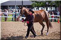 4H-Fun-Show-060912-133.JPG