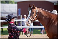 4H-Fun-Show-060912-135.JPG