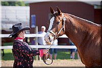 4H-Fun-Show-060912-136.JPG