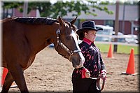 4H-Fun-Show-060912-138.JPG