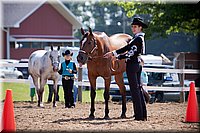 4H-Fun-Show-060912-139.JPG