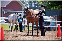 4H-Fun-Show-060912-140.JPG