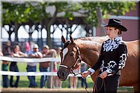 4H-Fun-Show-060912-143.JPG