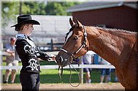 4H-Fun-Show-060912-146.JPG