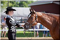 4H-Fun-Show-060912-147.JPG