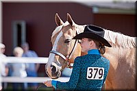 4H-Fun-Show-060912-155.JPG