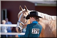 4H-Fun-Show-060912-156.JPG