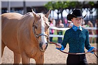 4H-Fun-Show-060912-159.JPG