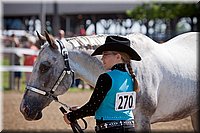 4H-Fun-Show-060912-172.JPG