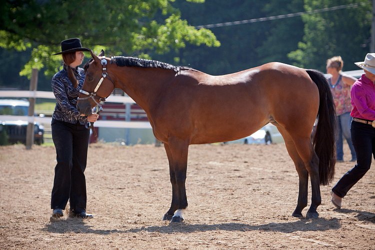 4H-Fun-Show-060912-180.JPG