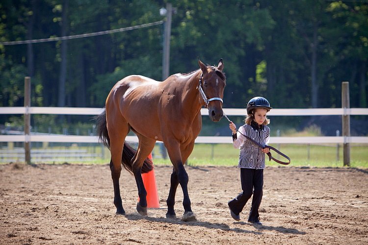 4H-Fun-Show-060912-181.JPG