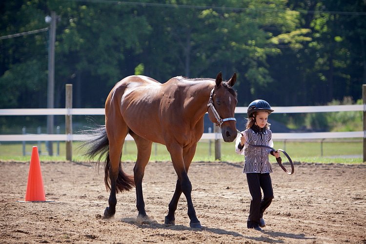 4H-Fun-Show-060912-182.JPG