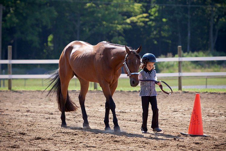 4H-Fun-Show-060912-183.JPG