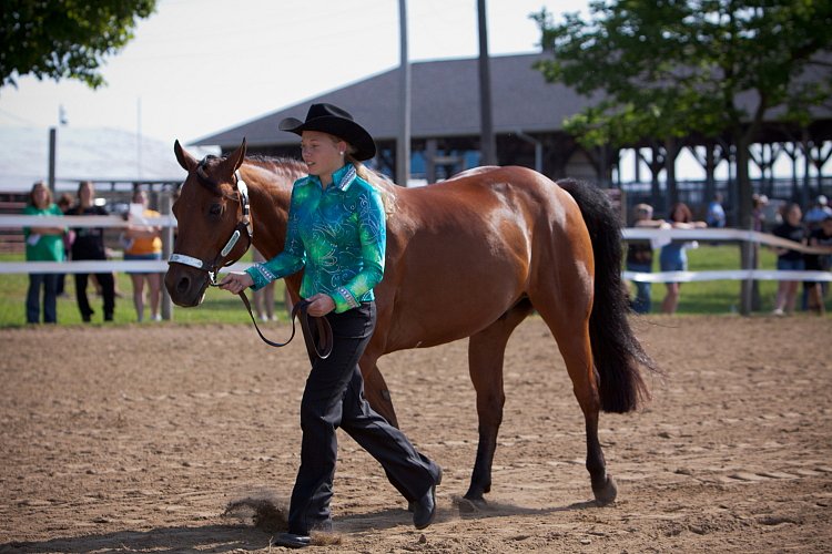 4H-Fun-Show-060912-028.JPG