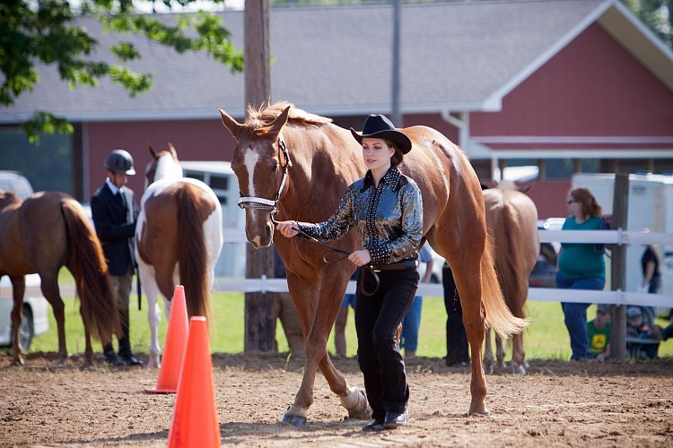 4H-Fun-Show-060912-041.JPG