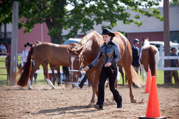 4H-Fun-Show-060912-042.JPG