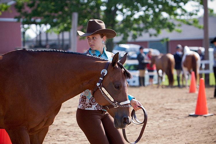 4H-Fun-Show-060912-051.JPG