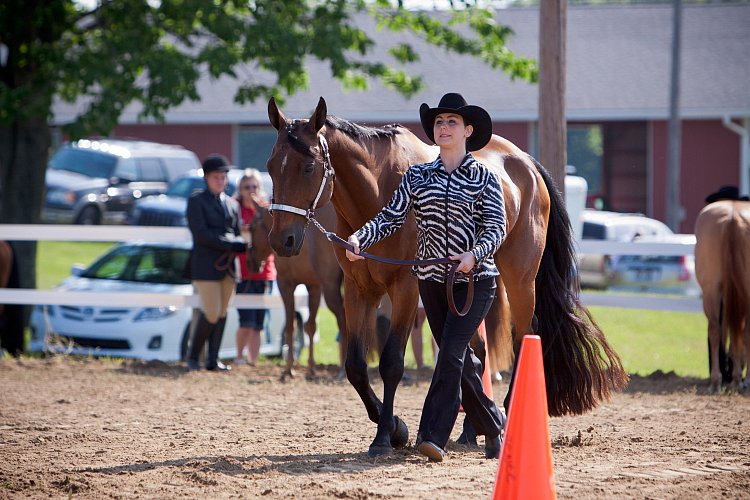 4H-Fun-Show-060912-052.JPG