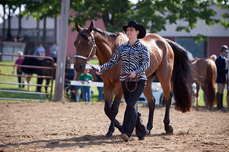 4H-Fun-Show-060912-053.JPG