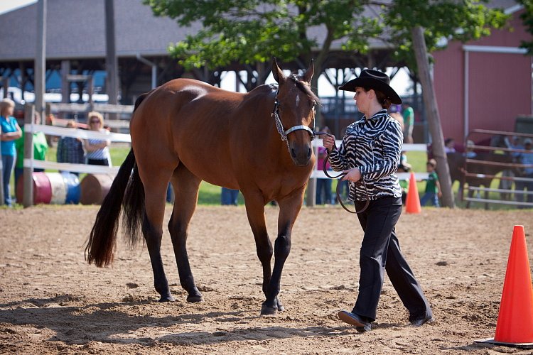 4H-Fun-Show-060912-054.JPG