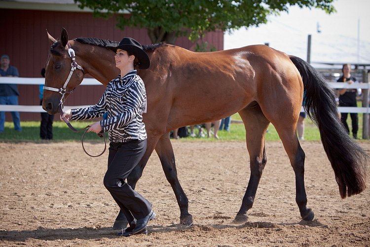 4H-Fun-Show-060912-055.JPG