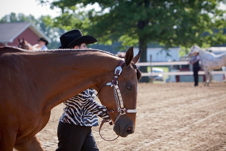 4H-Fun-Show-060912-057.JPG